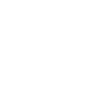 Realtor